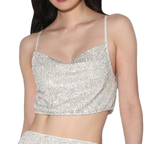 Walter Baker Tops - Walter Baker Silver Sequin Cynthia Crop Top size XS